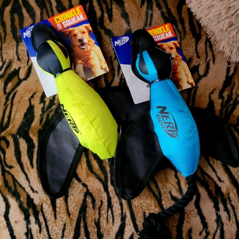 Nerf Dog Duck Crinkle and Squeak Duck Various Colors New Ea.